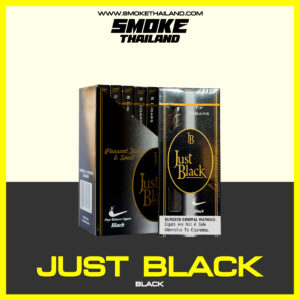 ซิก้าร์ JUST BLACK PIPE